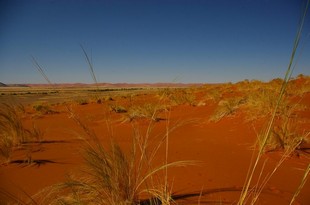 323 Namibia Okt 2006 .JPG